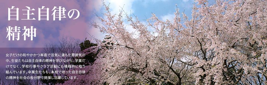 凤凰vi登陆入口